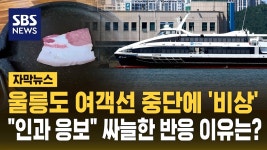 여객선 중단에 비상 걸린 울릉도…반응은 인과응보 싸늘 - 기타 국내 드라마 갤러리
