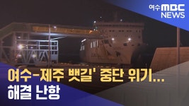 근데 한일고속은 블루펄 왜 갑자기 매각한거지??? - 교통 마이너 갤러리