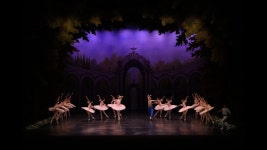 경북예술고등학교 발레 해적 파드되 - 국내야구 갤러리 경북예술고등학교 발레  해적 파드되 - 국내야구 갤러리