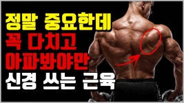 오 - 근력운동 마이너 갤러리