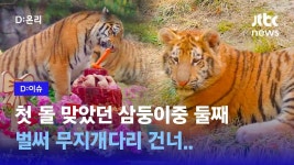 호랑이파의 실각을 알림 - 음모론 마이너 갤러리
