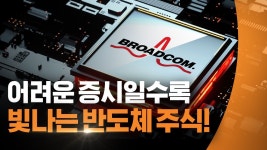 브로드컴 최소한 회사인지는 영상 보고 사길(링크 첨부) - 미국 주식 마이너 갤러리