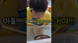 네이버 인플루언서 [네이버 인플루언서] 경남 어린이날 가볼만한곳 창녕여행 어때? 우포곤충나라