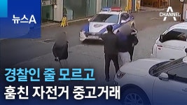 복동 검거 - 로드싸이클 마이너 갤러리