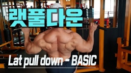빛성환 운동팁 모음 - 보디빌딩 마이너 갤러리