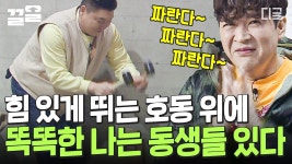 강호동은 사실 고래였나? - 대탈출 - 해외축구 갤러리
