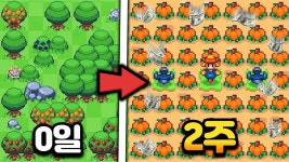Another Farm Roguelike | 미니맵