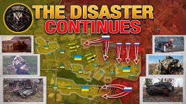 센언론센튜브들 죽어도 셀리도브 함락 안 다루네 - 주식 갤러리