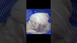 네이버 인플루언서 [네이버 인플루언서] 줄서서 먹는 포장전문 초밥집! / Popular Korean takeout sushi restaurant - Korean street... 