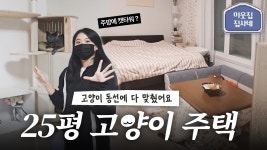 네이버 인플루언서 [네이버 인플루언서] 뚱뚱까스가 4마리..?🐷 디자이너가 직접 뜯어고친 25평 주택