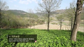 산청 약초의 산실 운곡농장 | Doovi 산청 약초의 산실 운곡농장
