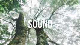 Always - Wabisabi | Shazam Always - Wabisabi