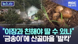 시골 아재들 ㄹㅇ 개꿀빠네 ㅋㅋㅋㅋㅋㅋㅋ - 도태 마이너 갤러리