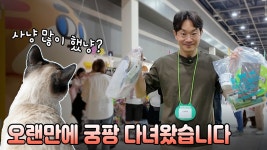 네이버 인플루언서 [네이버 인플루언서] 2025 궁디팡팡 캣페스타. 신박한 고양이 용품을 소개 합니다.
