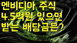 네이버 인플루언서 [네이버 인플루언서] 엔비디아 주식 4.5억원어치 투자하면 배당금을 얼마정도 받을까?