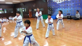 파랑띠품새 | Doovi 파랑띠품새