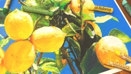 오일파스텔에 관하여 - 소확행 미니 갤러리