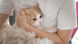 네이버 인플루언서 [네이버 인플루언서] 디디가 우울증이 왔어요ㅠㅠㅠ