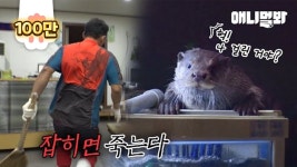 즙만 클릭 - 증권 마이너 갤러리