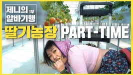 제니때문에 내일 페리카나 시킬 예정 - 벅스 마이너 갤러리