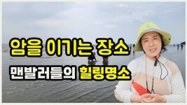 맨발걷기 명소 하나개 해수욕장, 아미사 힐링하우스 - 자유통일당 비대위 마이너 갤러리