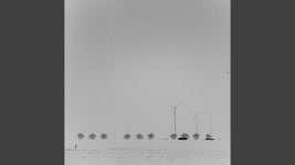 The Snow - Edith Whiskers: 노래 가사, 뮤직 비디오 및 콘서트