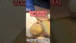 [네이버 인플루언서] 씨감자 눈자르기 방법도 가지가지 동네 어르신들 방법 총동원 수미감자 감물감자 괴산감자 충북 괴산 풀뿌리농장 #shorts