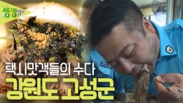 택시맛객들의 수다 : 청정 고을! 강원도 고성군 - 기타프로그램 갤러리