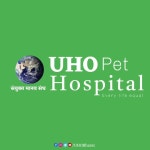United Human Organization - YouTube United Human Organization