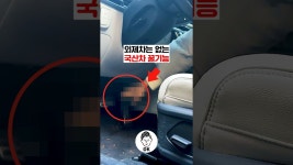 네이버 인플루언서 [네이버 인플루언서] 외제차는 없는 국산차 꿀기능 🚗🚨🍻