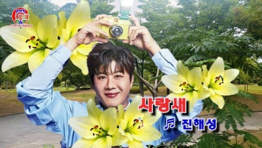 사랑새 이미지