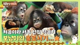 유튭 보는데 빵붕이들 나옴 ㄷㄷ - 송하영 마이너 갤러리