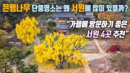 네이버 인플루언서 [네이버 인플루언서] 은행나무 단풍명소가 서원에... 서원 4곳을 추천해 드립니다. I 도동서원 운곡서원 옥산서원 임고서원