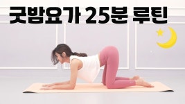 네이버 인플루언서 [네이버 인플루언서] 저녁에 하면 딱 좋은 25분 숙면요가 l 수면가이드 명상