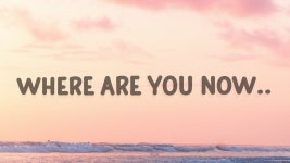 Why Not - Kar Luca | Shazam Why Not - Kar Luca