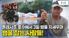 햇빛이 피부에 안 좋긴 한가보네 - 미국 주식 마이너 갤러리