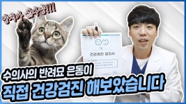네이버 인플루언서 [네이버 인플루언서] 범어동물의료센터의 고양이신부전