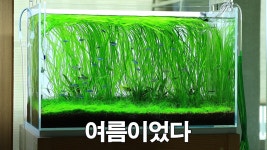 물질 개땡기네 - 문어소세지 미니 갤러리