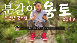 펄라이트에 대해 의심하기 시작한 계기 - 식물 갤러리
