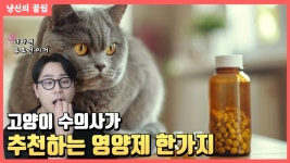 사바나동물병원몰 | 네이버 인플루언서 [네이버 인플루언서] 수의사가 본인 고양이에게 영양제를 한 가지만 먹인다면 이것 !! (광고아님)