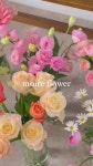 moire : 무아르플라워 - YouTube