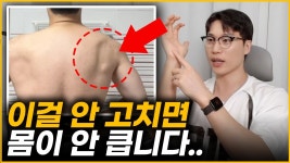 네이버 인플루언서 [네이버 인플루언서] 운동해도 몸이 안 큰다면, 날개뼈가 문제일 수 있습니다ㅣ메루치양식장 라이브 QnA