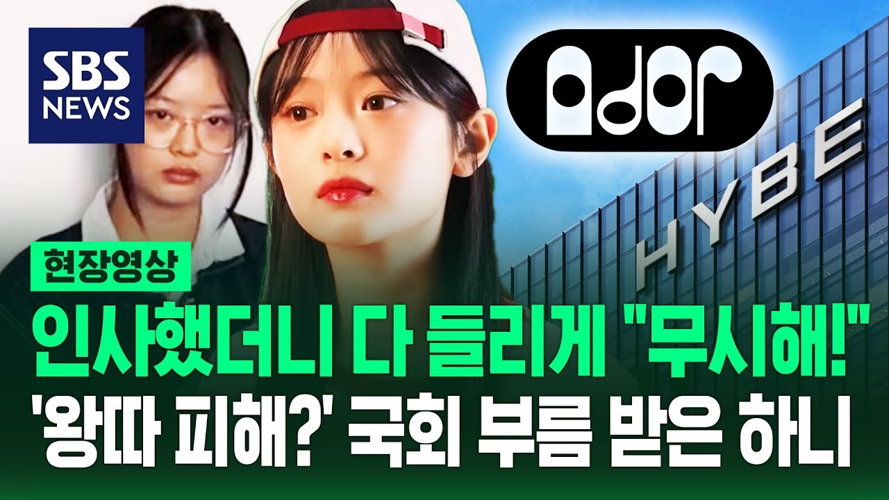 뉴진스 하니, 혼자 국회 국정감사 출석 결심...멤버들과 팬들 위한 결정력TouchEvent