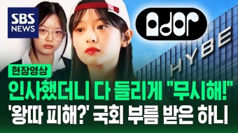 뉴진스 하니, 혼자 국회 국정감사 출석 결심...멤버들과 팬들 위한 결정력TouchEvent