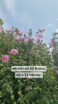 유현맘 - YouTube