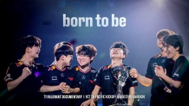 지보동,, - 숲 스트리밍 미니 갤러리