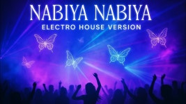 나비야 나비야 - Coreano Su. - 전자 음악 마이너 갤러리