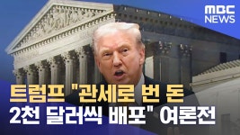트럼프) 관세수익 전미 300만원씩 배급 - 중도정치 마이너 갤러리