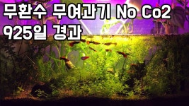진짜 광신도마냥 믿고싶은대로 믿네 - 아피스토그라마 마이너 갤러리