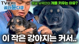 사인(Sign) - 트윈플레임 마이너 갤러리